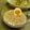 あやママ2012's cooksnap of when they made 【10分】ツナマヨ胡麻ダレ☆さっぱり素麺.