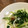たねmama's cooksnap of when they made さっぱり！大根と水菜の浅漬け風サラダ.