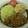 たくくまさん's cooksnap of when they made 洋食屋風、豚の生姜焼き.
