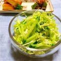 しじみごはん's cooksnap of when they made ＊ヘルシー＊春キャベツと胡瓜のサラダ＊.