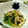 bb☆'s cooksnap of when they made ほうれん草とエリンギのごま風味和え.