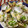 Satoco❋'s cooksnap of when they made あさりの酒蒸し.