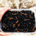 りっちゃん's cooksnap of when they made 栄養たっぷり簡単ひじきの煮物.