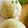 ♥綾♥'s cooksnap of when they made レンジで簡単、よもぎ餅.