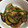 maioki's cooksnap of when they made ナスとキノコのオイスター炒め.