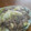 サーフブレイド's cooksnap of when they made ◆白菜と牛肉のオイスターソース炒め◆.