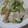 ことりんころ's cooksnap of when they made ザーサイときゅうりの和えもの.