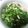 かぴーな's cooksnap of when they made 素麺のあったかスープ.