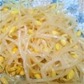 くらぽっぽ's cooksnap of when they made 白だしで手抜きなナムル♪.