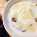 be_minami's cooksnap of when they made ダノンのファンタジアもどきヨーグルト.