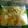 jellych's cooksnap of when they made 漬け物？超簡単白菜と塩昆布.