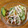 nokomori's cooksnap of when they made きゅうりときのこのヘルシーおひたし☆.