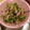 5296とも's cooksnap of when they made ＊白菜と胡瓜の中華風サラダ＊.