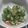 kaname1217's cooksnap of when they made おくらのサッと漬け.