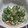 kaname1217's cooksnap of when they made おくらのサッと漬け.