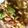 ＊｡ﾟちぃちぃ｡ﾟ＊'s cooksnap of when they made ご飯にあう青梗菜の炒めもの.