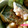 ことちゃる's cooksnap of when they made 時短！揚げない！サバの唐揚げ.