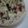ビバリー's cooksnap of when they made ★簡単★白菜としめじのクリーム煮‼︎.