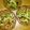 ﾋﾟﾛﾐ♡'s cooksnap of when they made かさましモズク酢.