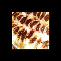 キコちゃん's cooksnap of when they made 我が家の定番 餃子.