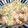 猛者。's cooksnap of when they made 絶品★５分で完了★蒸し鶏ネギソース.