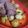 かずぅぅ～'s cooksnap of when they made 新じゃがとハーブのオーブン焼き.
