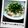 MysticRose's cooksnap of when they made 『豆腐でトロトロ納豆？？！』.