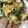 noamanma's cooksnap of when they made ほうれん草たまご.