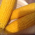 kylemi's cooksnap of when they made ぷりっぷりの美味しいトウモロコシの茹で方.