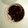 あんちもまん's cooksnap of when they made コンニャクの甘辛煮.