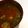 KEYONCE's cooksnap of when they made パパのアサリ汁.