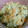 ☆めぇ☆ﾐ's cooksnap of when they made 鮭とゴマごはん.