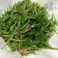 おやきまま's cooksnap of when they made お手軽♪水菜ツナサラダ.