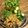 kota77's cooksnap of when they made アナゴのうざく風.