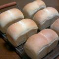 volvol's cooksnap of when they made ホシノ天然酵母でスイートメープルバンズ.
