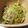 chacha_may's cooksnap of when they made *あと1品にキャベツとしらすの煮浸し*.