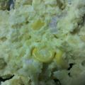 ごんべい君's cooksnap of when they made 簡単なのに絶品♡さつまいものサラダ☆.