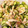 happy328's cooksnap of when they made 簡単あっさり☆なが芋ときゅうりの梅和え.