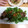 スリーエクボ's cooksnap of when they made 茹でるだけ！超簡単☆砂肝ネギまみれ.
