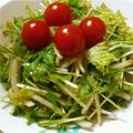 satooka's cooksnap of when they made 簡単☆水菜と新玉ねぎのゴマサラダ.