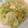 ＃Yuzu＃'s cooksnap of when they made たっぷりレタスと卵の塩麹炒め.