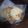 manaman's cooksnap of when they made 簡単！レンジでチン！キムチもチーズ.