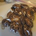 ハンクスさん's cooksnap of when they made 干しシイタケの♪保存方法☆冷凍保存♪.