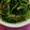 やっききー's cooksnap of when they made ♪ほうれん草の海苔和え♪.