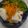 ヨーチュー's cooksnap of when they made かぶのあっさり甘酢漬。.
