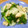 とみ ∪･ｪ･∪'s cooksnap of when they made 大根とささみのあっさり炒め.
