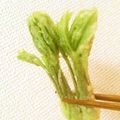みずきちむし's cooksnap of when they made 「山菜の女王」コシアブラ.