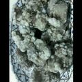 ごんべい君's cooksnap of when they made 簡単　サクサク　カリカリ　鶏肉の竜田揚げ.