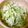 ぽりんこりん's cooksnap of when they made ささみ☆サラダ.