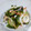 QOO36's cooksnap of when they made ちゃちゃっと酢の物.